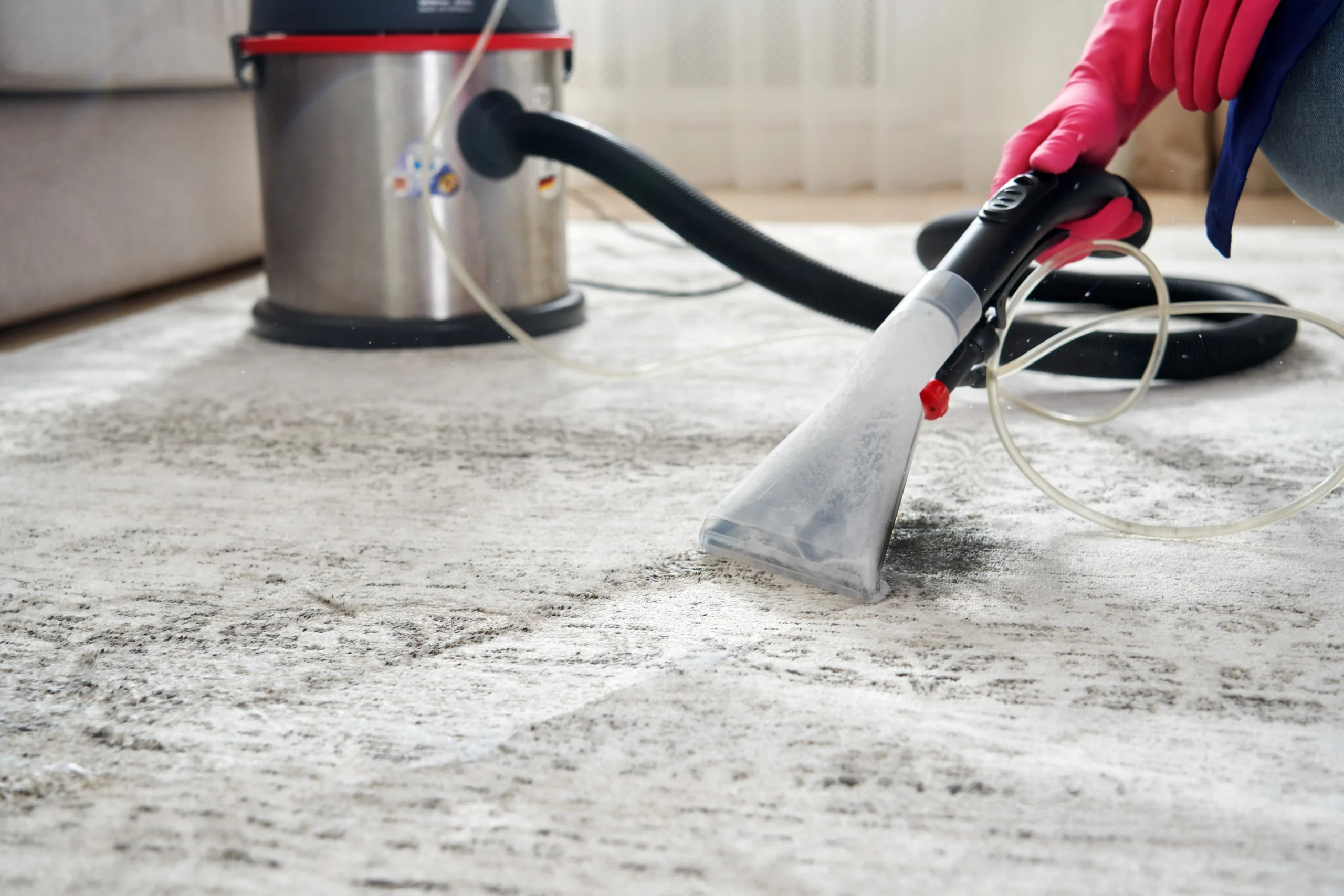 Professional Carpet Cleaning