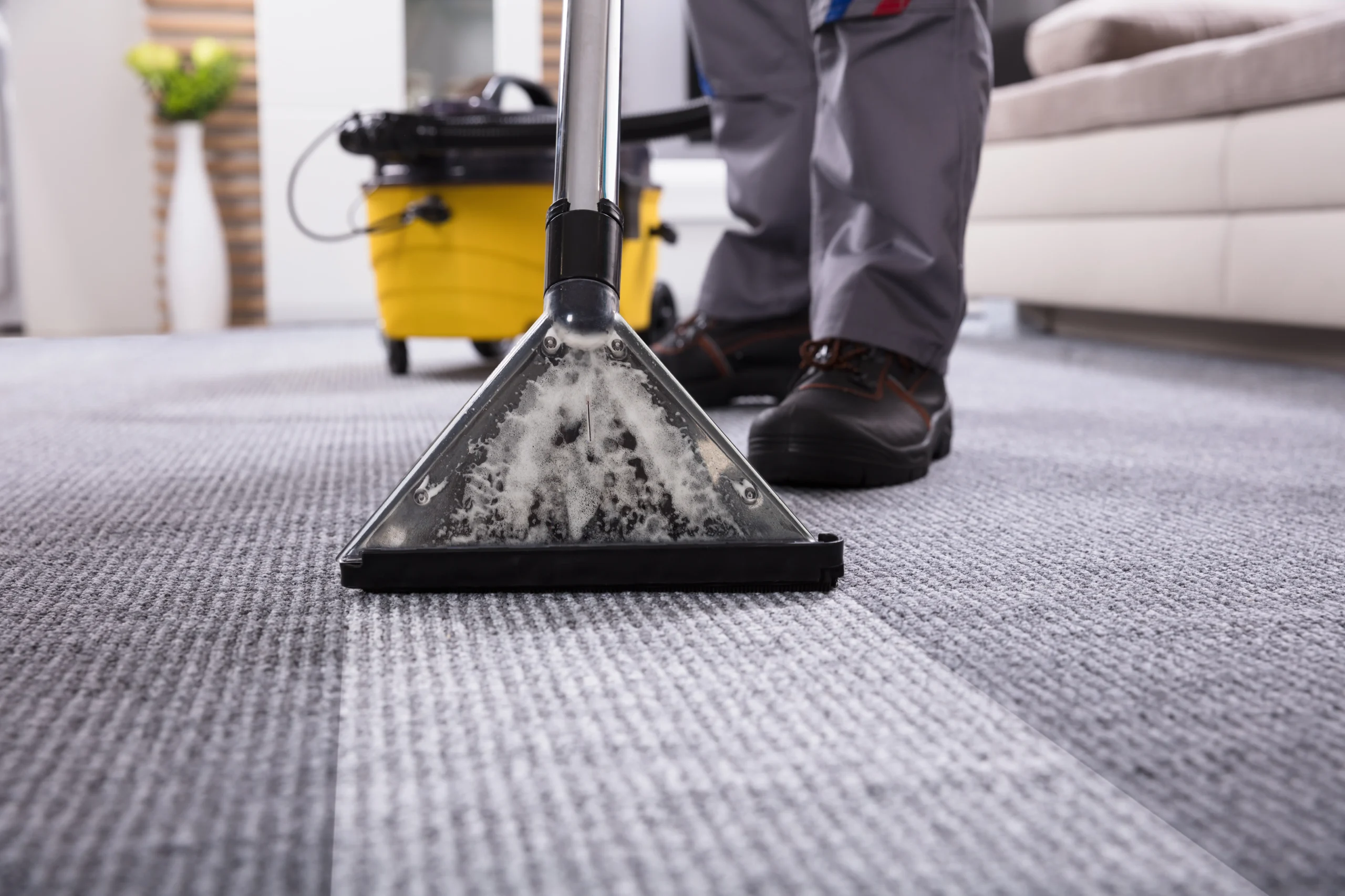 Top Benefits of Professional Carpet Cleaning and Shampoo Services for Your Home