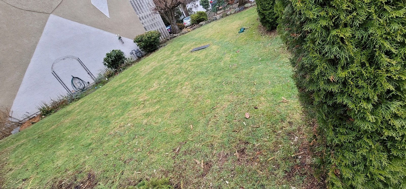 Landscaping