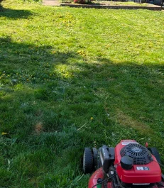 Professional lawn maintenance equipment on residential landscaping property